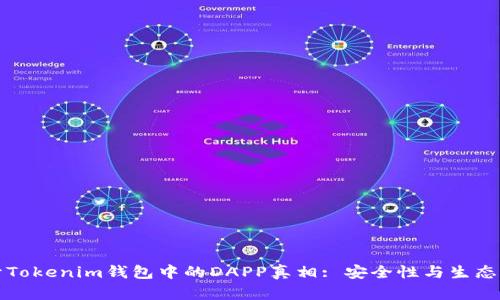 揭开Tokenim钱包中的DAPP真相: 安全性与生态分析