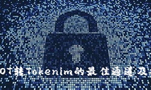 : 币安DOT转Tokenim的最佳通道及操作指南