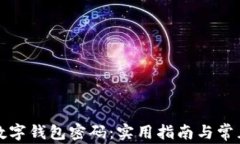 如何找回数字钱包密码：实用指南与常见问题解