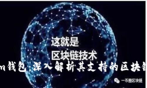 Tokenim钱包：深入解析其支持的区块链及应用