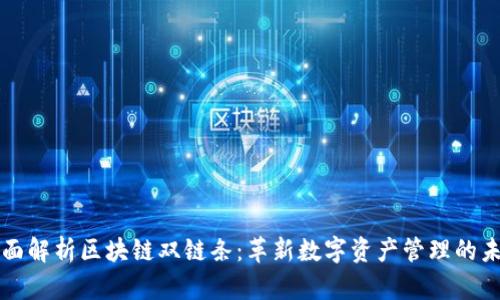 全面解析区块链双链条：革新数字资产管理的未来